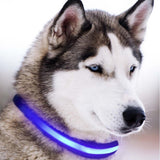LED Dog Collar(USB charging)