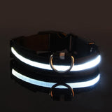 LED Dog Collar(USB charging)