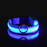 LED Dog Collar(USB charging)