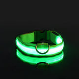 LED Dog Collar(USB charging)