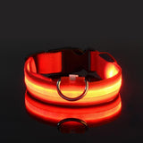 LED Dog Collar(USB charging)